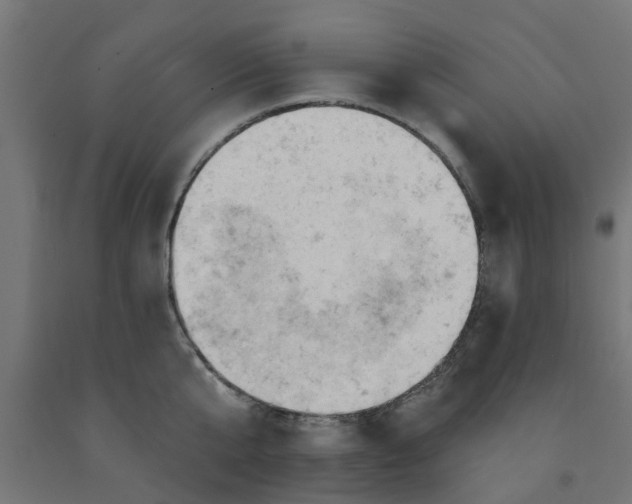 X0000090890807200708242000