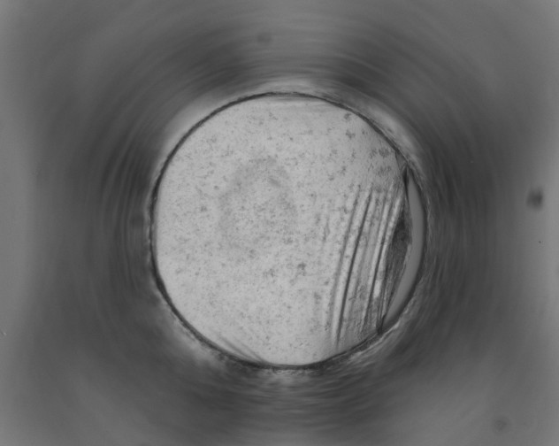 X0000090890808200708242000