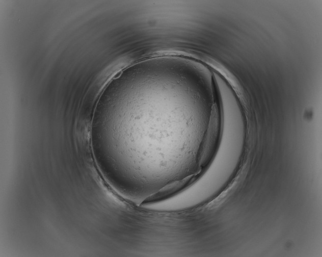 X0000090890809200708242000