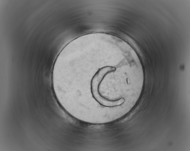 X0000090890810200708242000