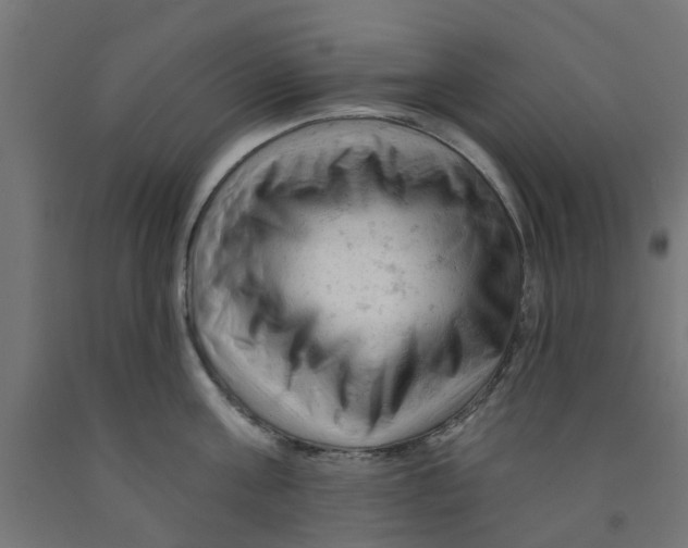 X0000090890811200708242000