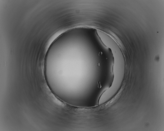 X0000090890812200708242000