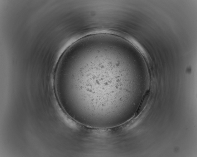 X0000090890813200708242000