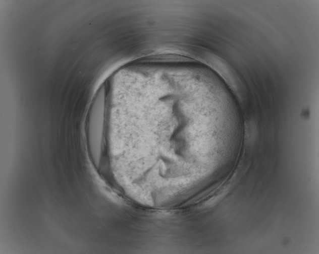 X0000090890814200708242000