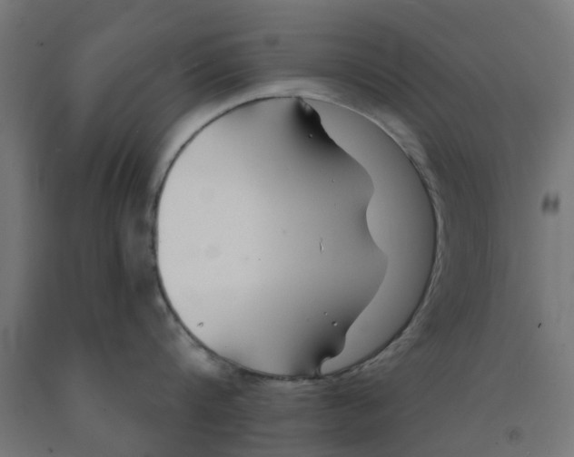 X0000090890816200708242000