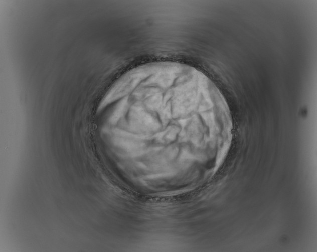 X0000090890817200708242000