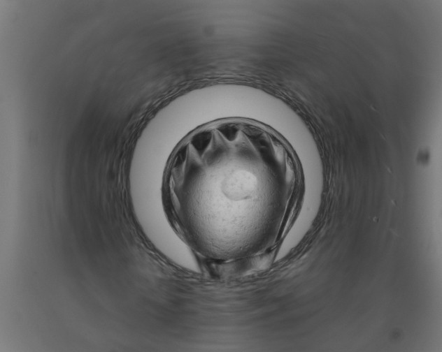 X0000090890818200708242000