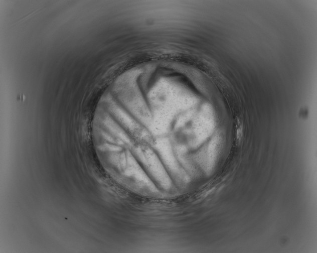 X0000090890819200708242000