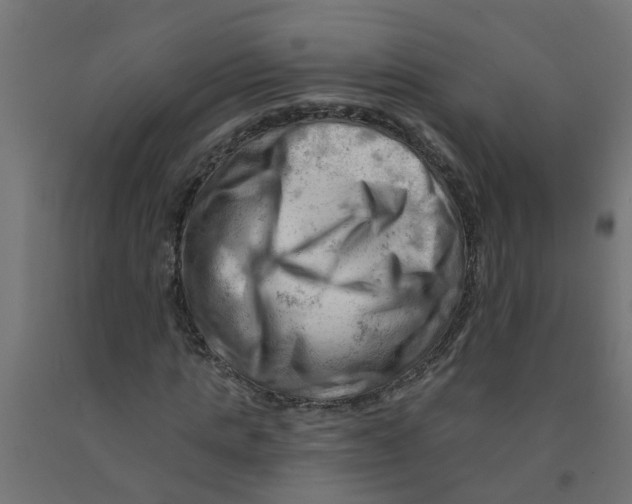 X0000090890821200708242000