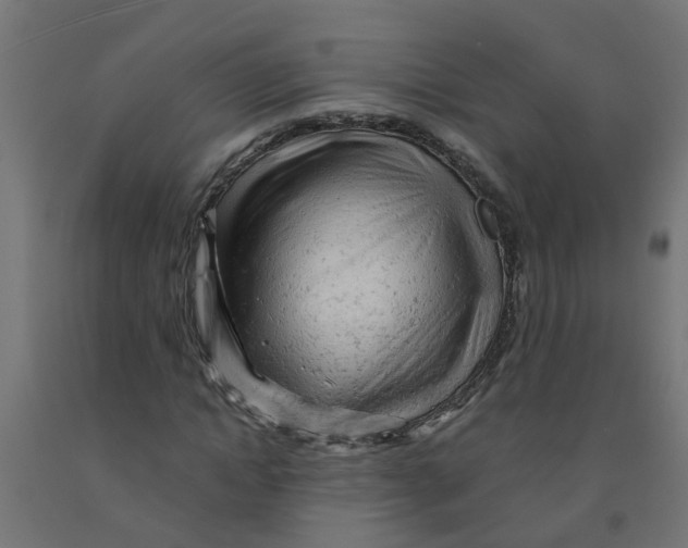 X0000090890822200708242000