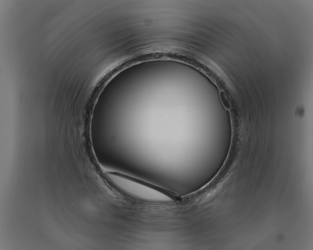 X0000090890826200708242000