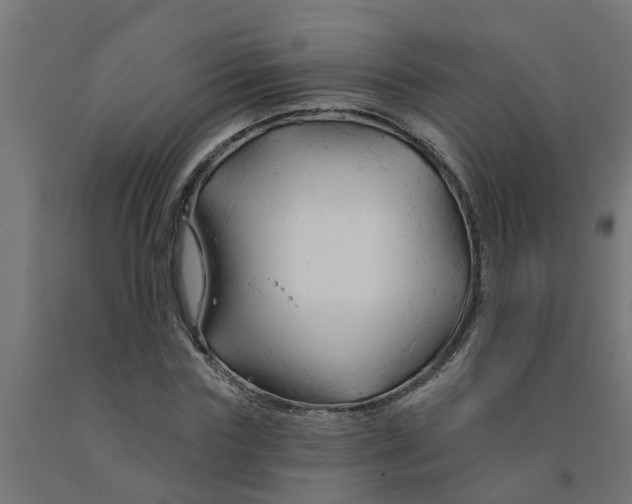 X0000090890827200708242000