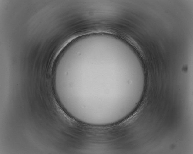 X0000090890828200708242000