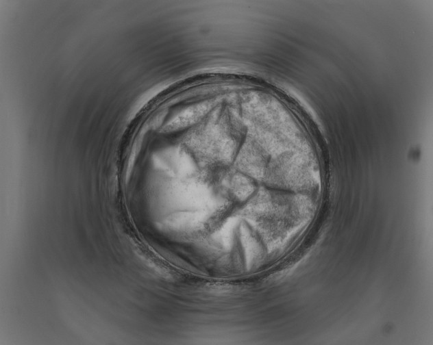 X0000090890829200708242000