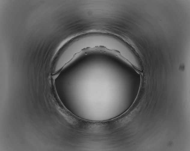 X0000090890830200708242000