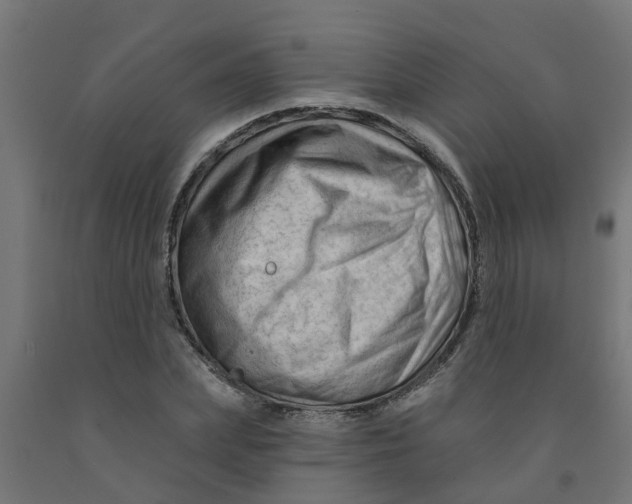 X0000090890831200708242000