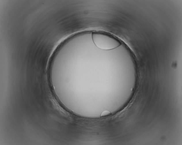 X0000090890832200708242000