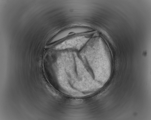 X0000090890833200708242000