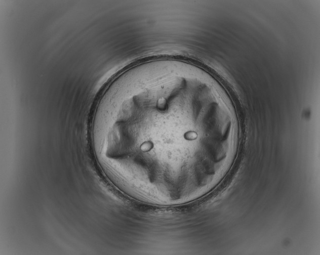 X0000090890834200708242000