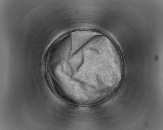 X0000090890835200708242000