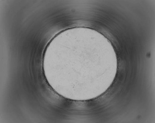 X0000090890836200708242000