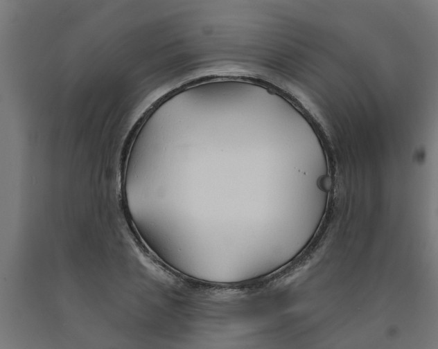 X0000090890837200708242000