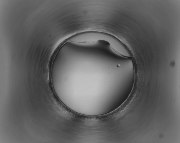 X0000090890838200708242000