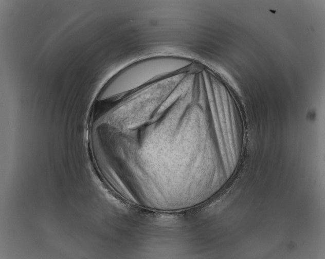 X0000090890839200708242000