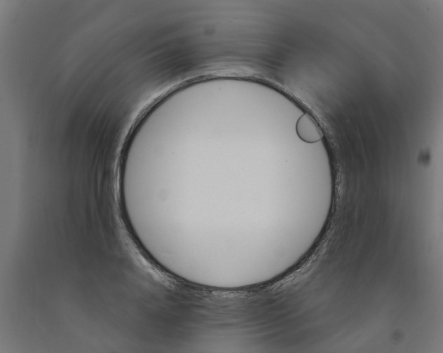 X0000090890840200708242000