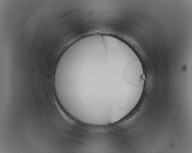 X0000090890841200708242000