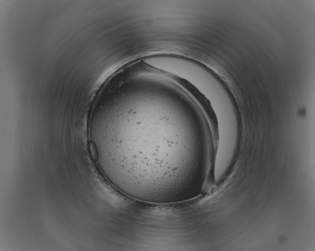 X0000090890842200708242000