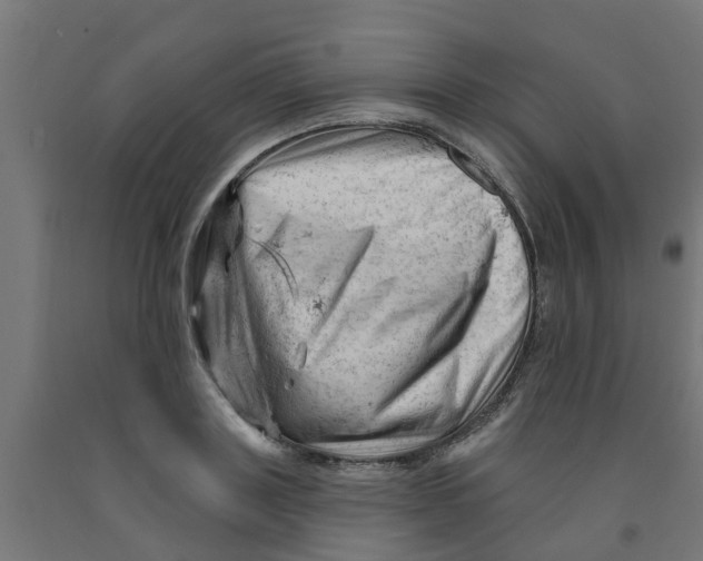 X0000090890843200708242000