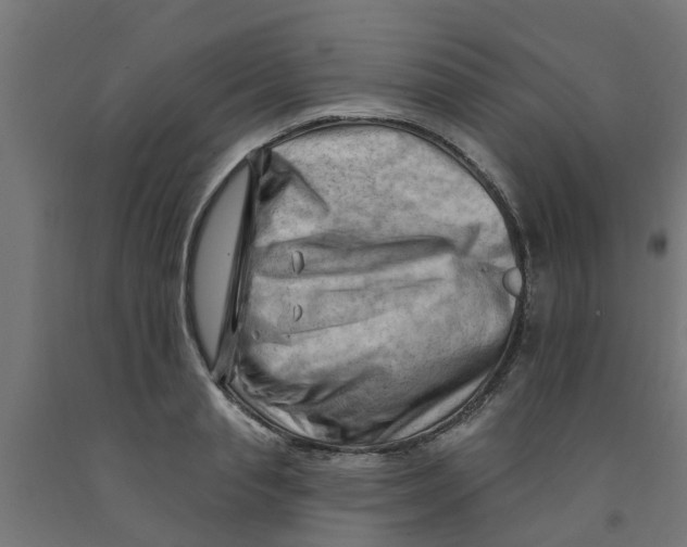 X0000090890845200708242000