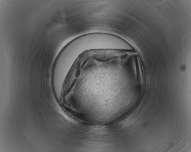 X0000090890846200708242000