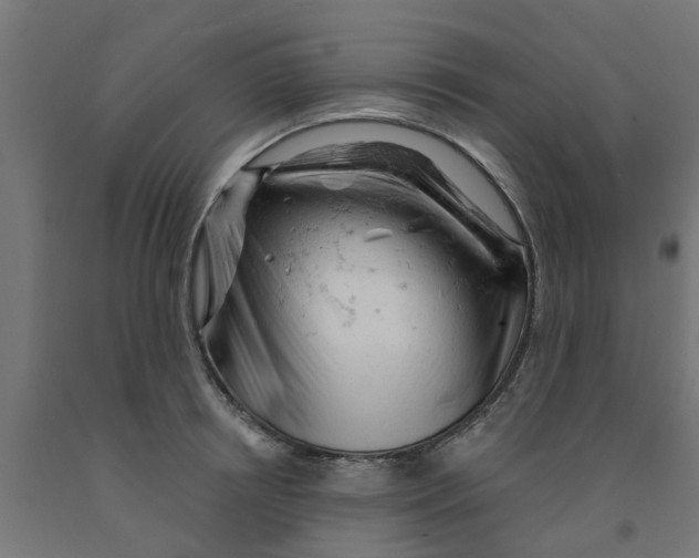 X0000090890850200708242000