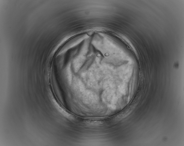 X0000090890851200708242000