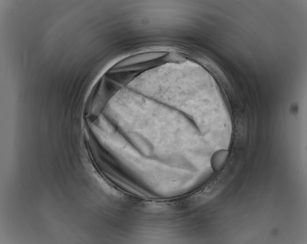 X0000090890852200708242000