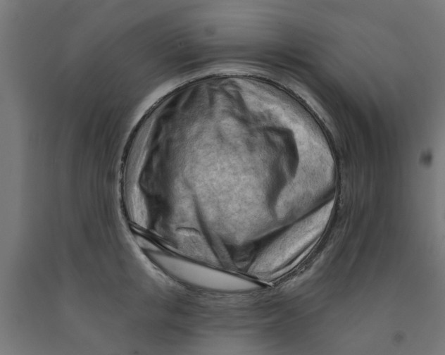 X0000090890853200708242000