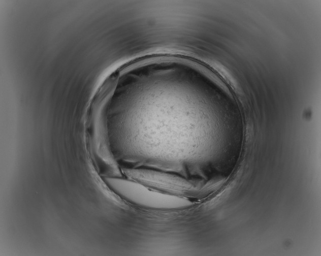 X0000090890854200708242000