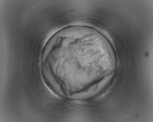 X0000090890855200708242000