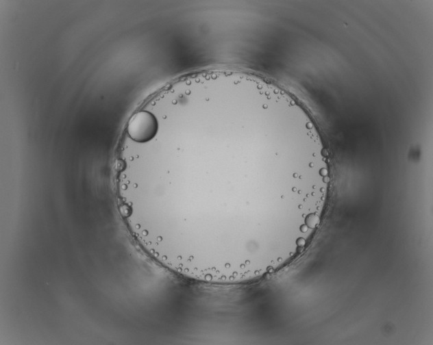 X0000090890856200708242000