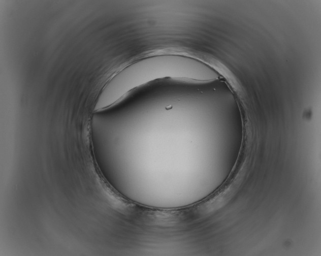 X0000090890857200708242000