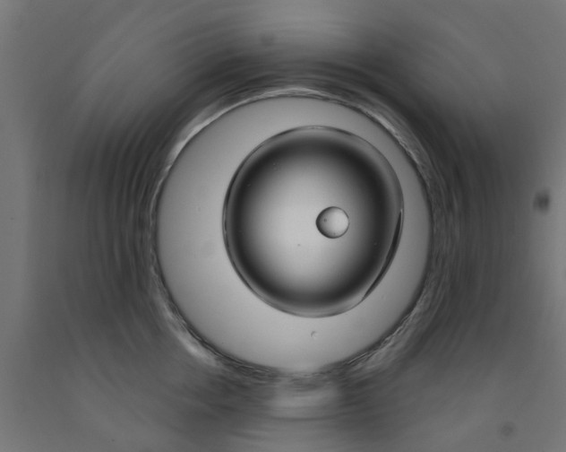 X0000090890858200708242000