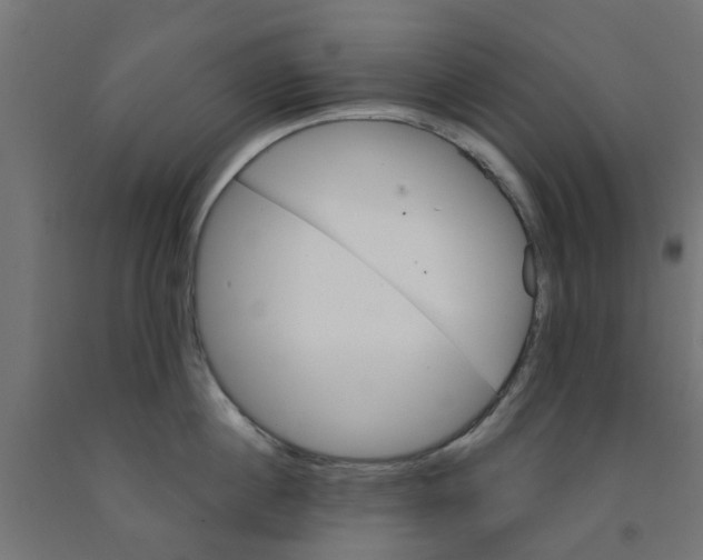 X0000090890860200708242000