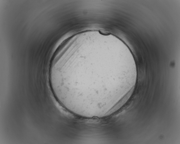 X0000090890861200708242000