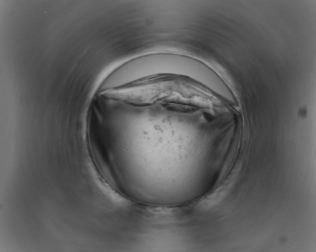 X0000090890862200708242000