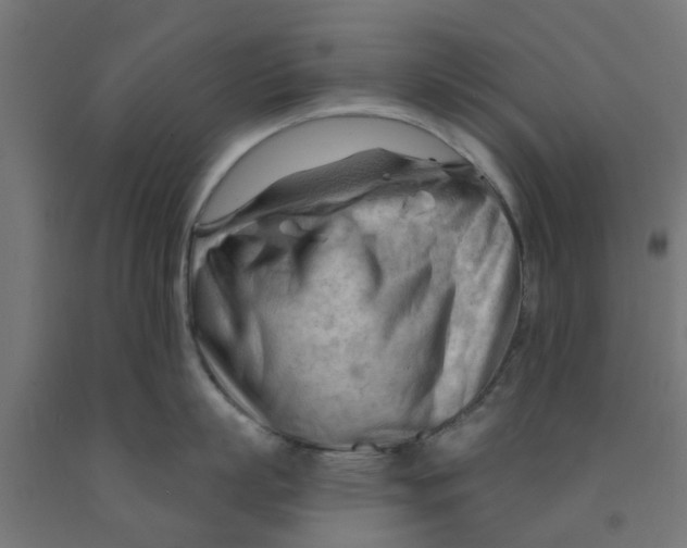 X0000090890863200708242000