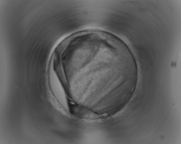 X0000090890864200708242000