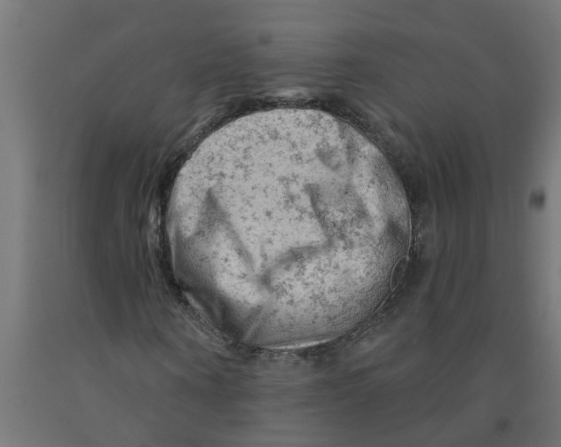 X0000090890866200708242000