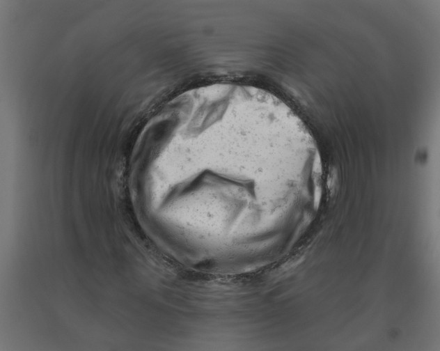 X0000090890867200708241959